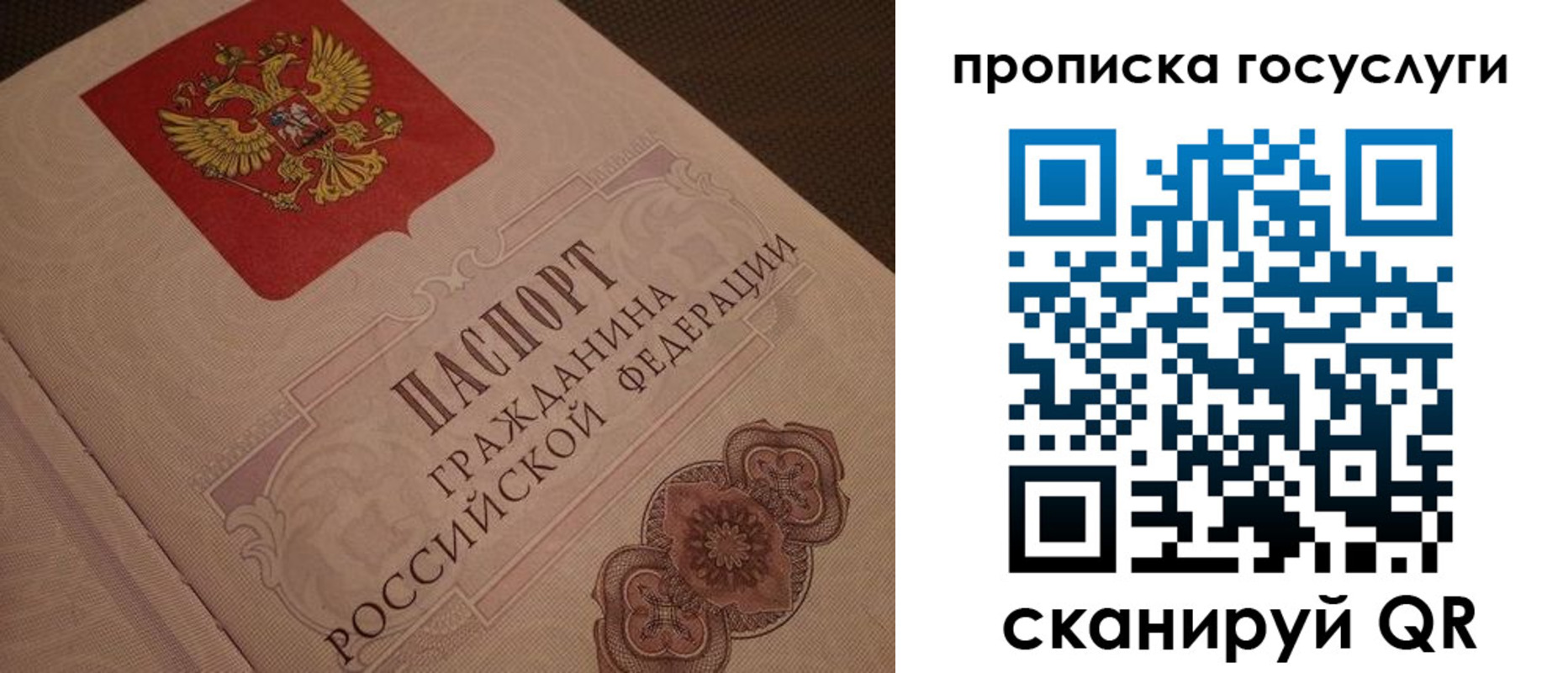 прописка для работы в Лузе